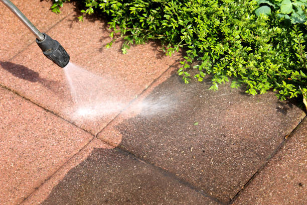 Best Roof Power Washing Services  in Henderson, KY